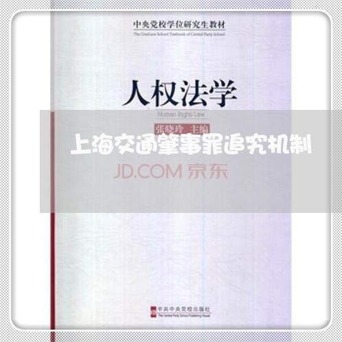 上海交通肇事罪追究机制/2023022877570