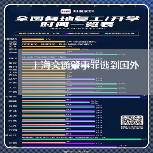 上海交通肇事罪逃到国外/2023042149480