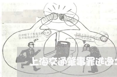 上海交通肇事罪逃逸之人重伤/2023033027282 上海交通肇事罪逃逸之人重伤/2023033027282