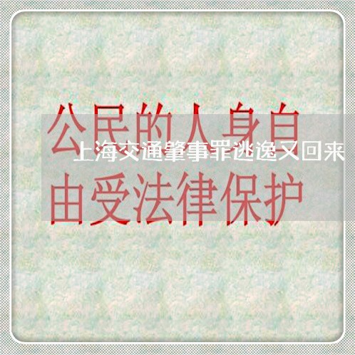 上海交通肇事罪逃逸又回来/2023031738158