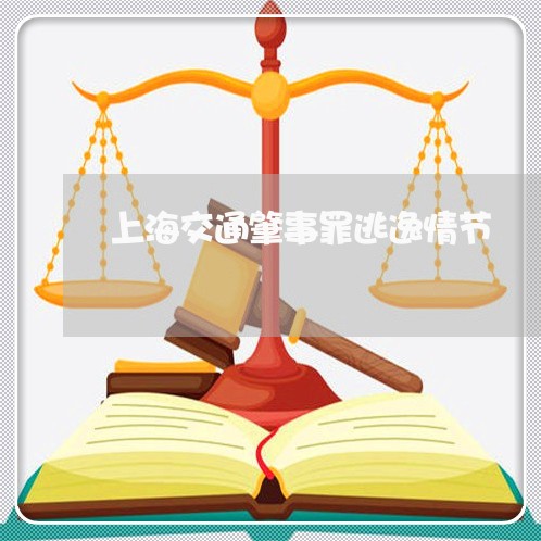 上海交通肇事罪逃逸情节/2023022839636
