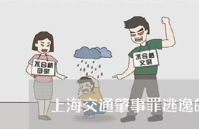 上海交通肇事罪逃逸的时机/2023031703916