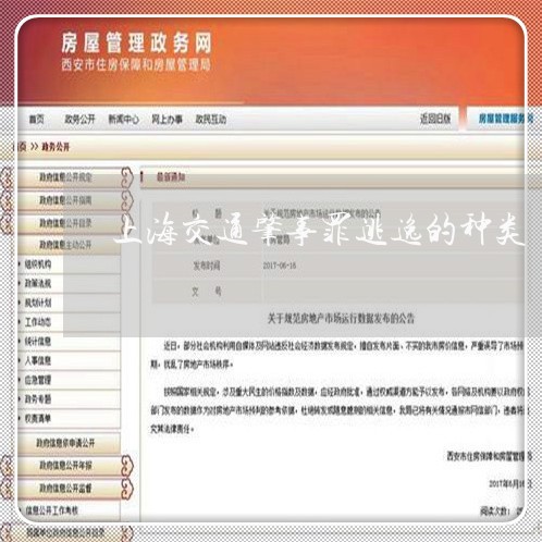 上海交通肇事罪逃逸的种类/2023033030703