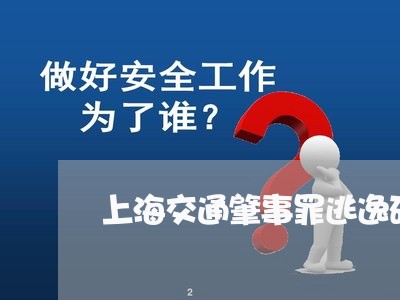 上海交通肇事罪逃逸研究/2023042162715