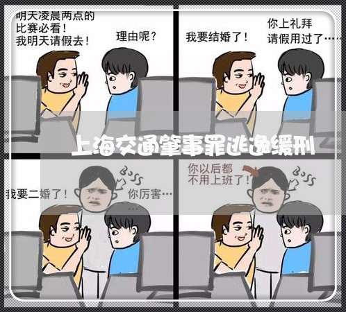 上海交通肇事罪逃逸缓刑/2023022882794 上海交通肇事罪逃逸缓刑/2023022882794