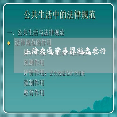 上海交通肇事罪逃逸要件/2023042148370