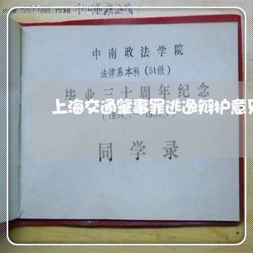 上海交通肇事罪逃逸辩护意见/2023033098159