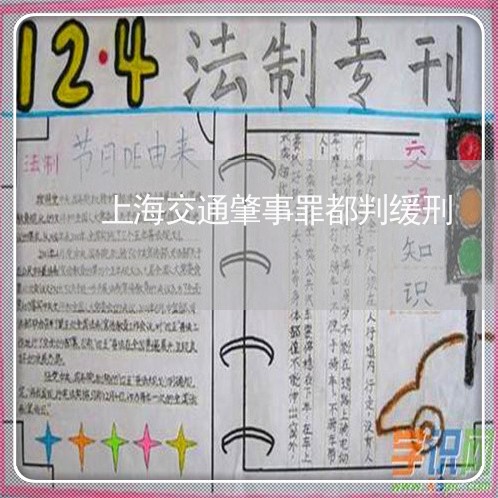 上海交通肇事罪都判缓刑/2023042161737