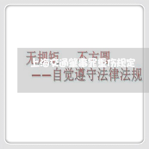 上海交通肇事罪重伤规定/2023022804835