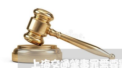 上海交通肇事罪需要羁押吗/2023033073725