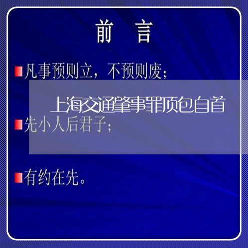 上海交通肇事罪顶包自首/2023022895047