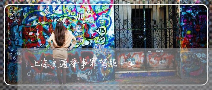 上海交通肇事罪驾照一定/2023022894837 上海交通肇事罪驾照一定/2023022894837