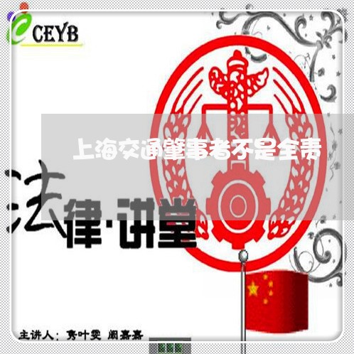 上海交通肇事者不是全责/2023022700493 上海交通肇事者不是全责/2023022700493