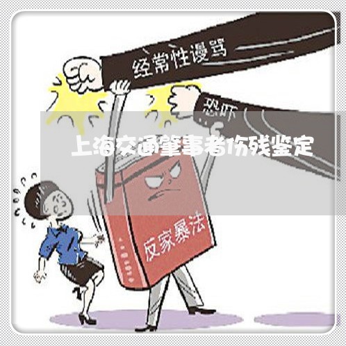 上海交通肇事者伤残鉴定/2023022764825