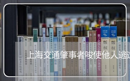 上海交通肇事者唆使他人逃逸/2023033089393