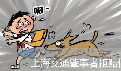 上海交通肇事者拒赔偿标准/2023031736181 上海交通肇事者拒赔偿标准/2023031736181