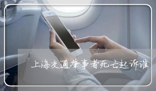 上海交通肇事者死亡起诉谁/2023031735048 上海交通肇事者死亡起诉谁/2023031735048