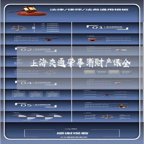 上海交通肇事者财产保全/2023022713369 上海交通肇事者财产保全/2023022713369