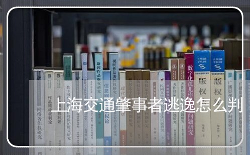 上海交通肇事者逃逸怎么判/2023031716282 上海交通肇事者逃逸怎么判/2023031716282