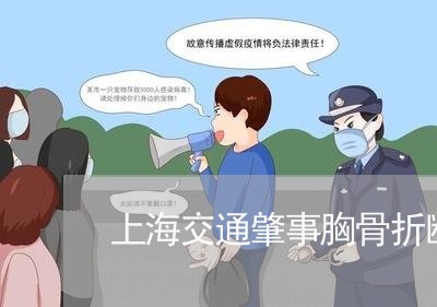 上海交通肇事胸骨折断/2023021228281 上海交通肇事胸骨折断/2023021228281