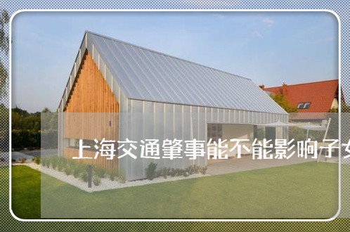 上海交通肇事能不能影响子女/2023033070503 上海交通肇事能不能影响子女/2023033070503