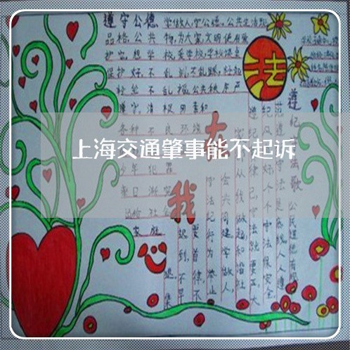 上海交通肇事能不起诉/2023021258593