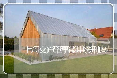 上海交通肇事能用缓刑吗/2023022716360 上海交通肇事能用缓刑吗/2023022716360
