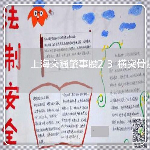 上海交通肇事腰23横突骨折/2023033075035