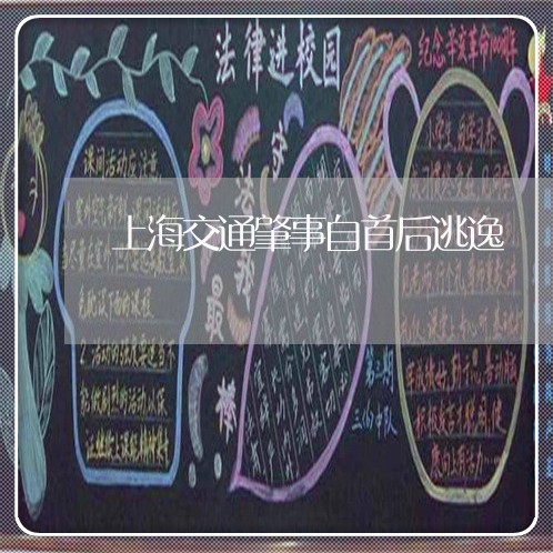 上海交通肇事自首后逃逸/2023022749304 上海交通肇事自首后逃逸/2023022749304