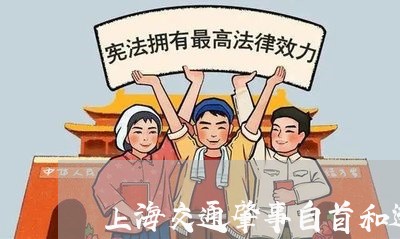 上海交通肇事自首和逃逸自首/2023033085929