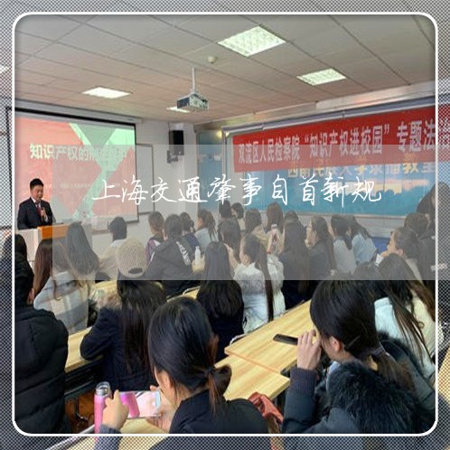 上海交通肇事自首新规/2023021249983 上海交通肇事自首新规/2023021249983