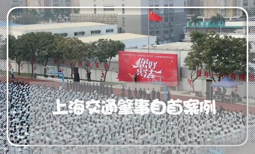 上海交通肇事自首案例/2023021294939 上海交通肇事自首案例/2023021294939