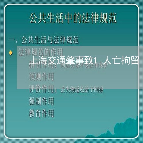 上海交通肇事致1人亡拘留/2023031771613 上海交通肇事致1人亡拘留/2023031771613
