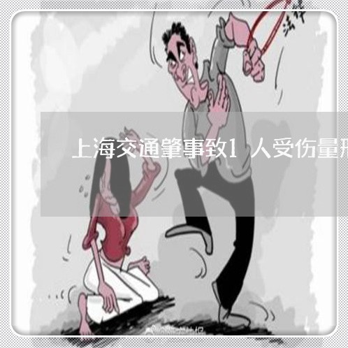 上海交通肇事致1人受伤量刑/2023033040604