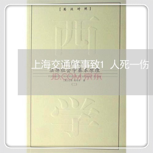 上海交通肇事致1人死一伤/2023031763703 上海交通肇事致1人死一伤/2023031763703