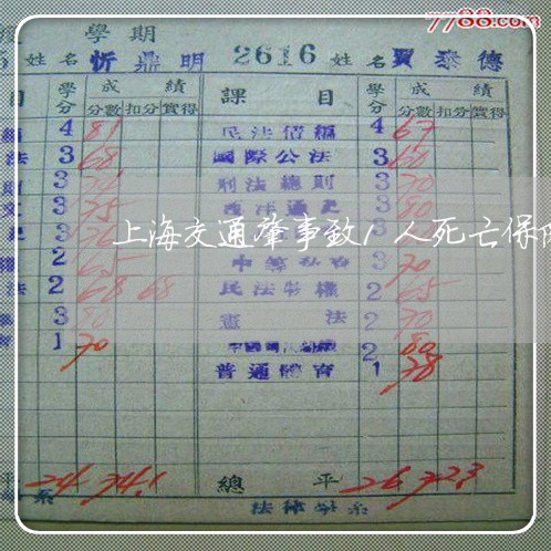 上海交通肇事致1人死亡保险/2023033042582
