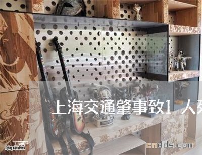 上海交通肇事致1人死亡免诉/2023033096148