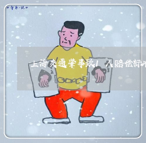上海交通肇事致1人赔偿标准/2023033041581