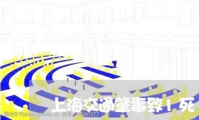 上海交通肇事致1死1伤量刑/2023033041515