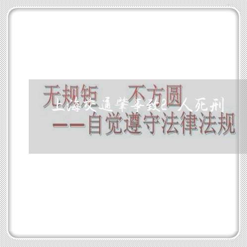 上海交通肇事致2人死刑/2023022805846 上海交通肇事致2人死刑/2023022805846