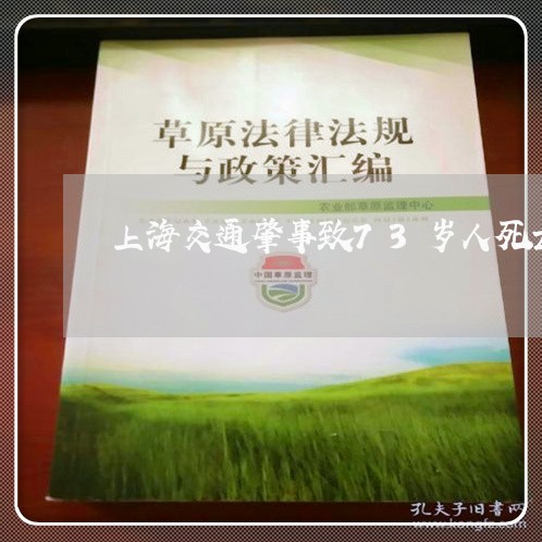 上海交通肇事致73岁人死亡/2023033019281 上海交通肇事致73岁人死亡/2023033019281