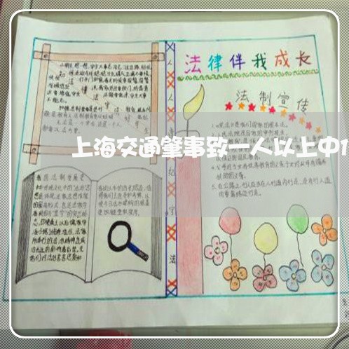 上海交通肇事致一人以上中伤/2023033072846 上海交通肇事致一人以上中伤/2023033072846
