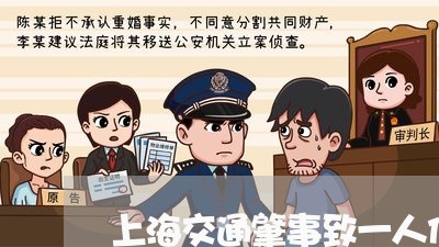 上海交通肇事致一人伤亡/2023042193617