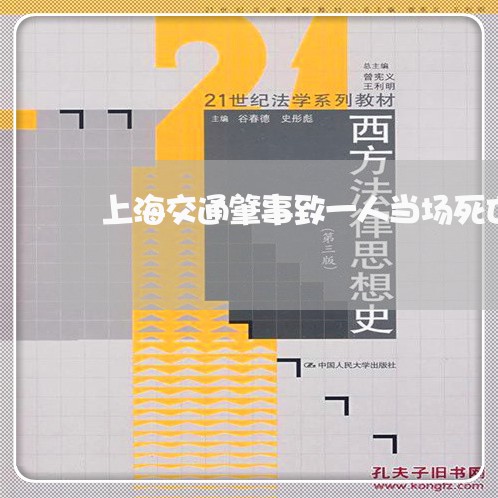上海交通肇事致一人当场死亡/2023033051504 上海交通肇事致一人当场死亡/2023033051504