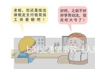 上海交通肇事致一人死亡刑事/2023033082584 上海交通肇事致一人死亡刑事/2023033082584