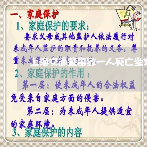 上海交通肇事致一人死亡坐牢/2023033052616