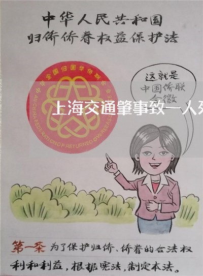 上海交通肇事致一人死亡处理/2023033074827