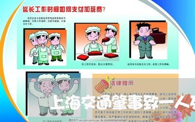 上海交通肇事致一人死亡救治/2023033048361