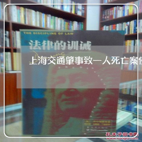 上海交通肇事致一人死亡案例/2023033067260