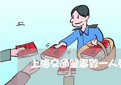 上海交通肇事致一人死亡逃逸/2023033051391